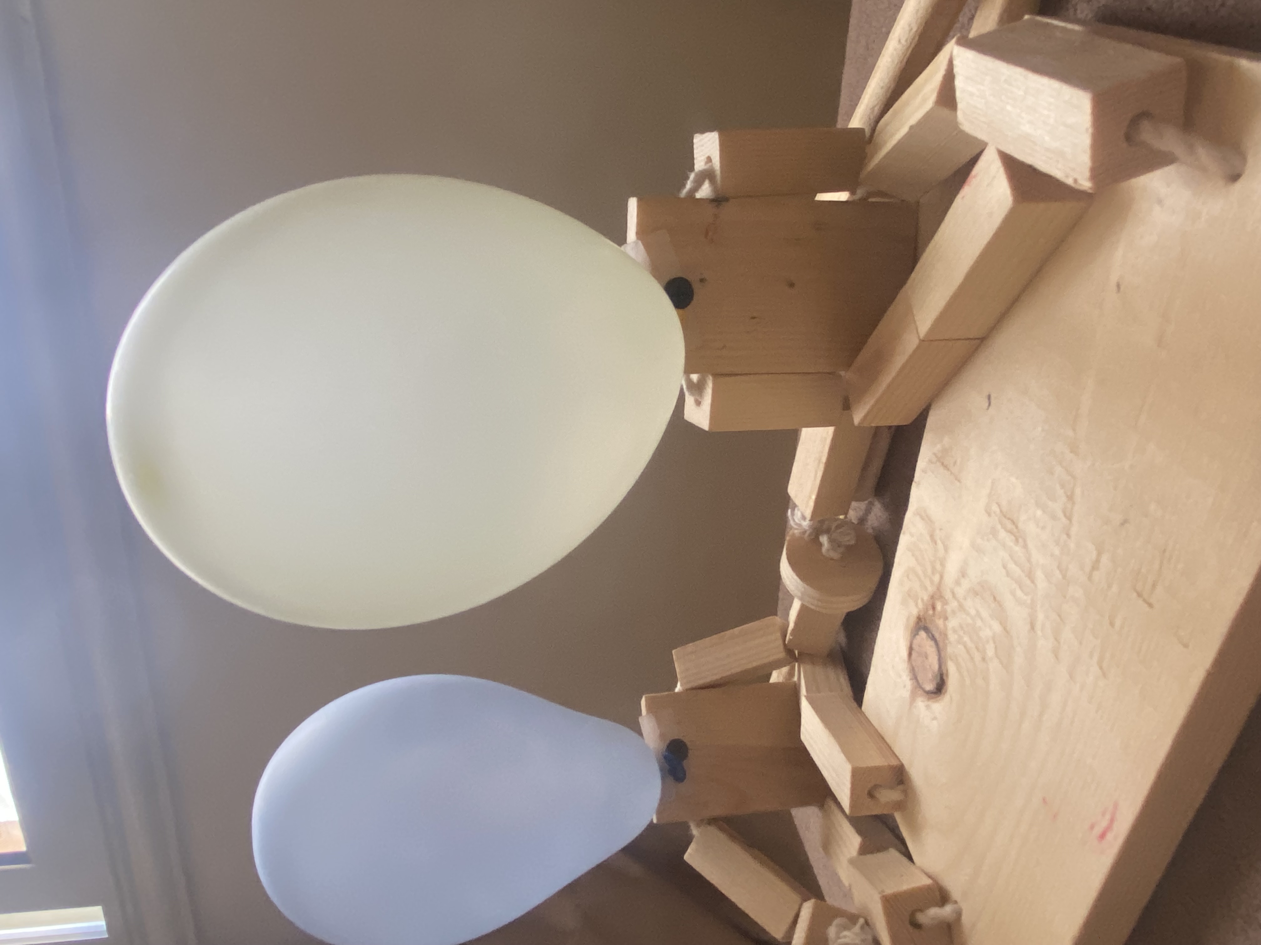 صورة مشاركة